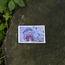 'nar' sticker