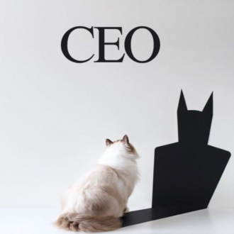 CEO / Yönetim Danışmanlığı Silver