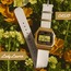 CASIO LADY LAUREN