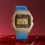 CASIO F-91 ARGININE
