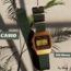 CASIO F-91 old money 