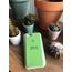 iPhone 7/8 Lansman Silikon Kılıf