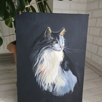 Kedi Portresi – Orijinal Akrilik Tablo | 35×50 cm
