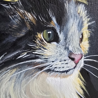 Kedi Portresi – Orijinal Akrilik Tablo | 35×50 cm