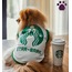 JBL KÜÇÜK IRK KÖPEK TİŞÖRT STARBARK
