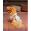 JBL KÜÇÜK IRK KÖPEK TİŞÖRT HELLO KİTY