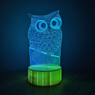 JetJest Baykuş Temalı 3D İllüzyon Akrilik RGB Gece Lambası