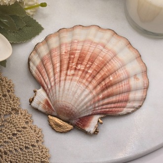 Kırmızı Mercan