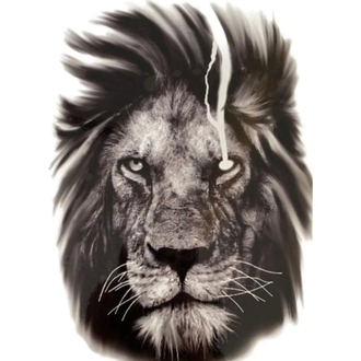 ASLAN FİGÜRLÜ GEÇİCİ DÖVME 
