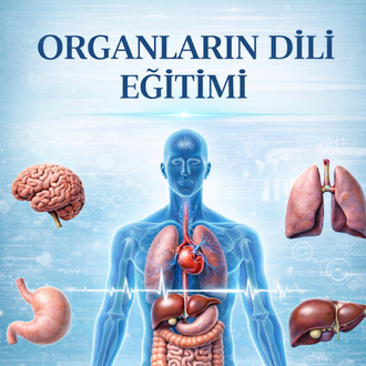 3’lü Eğitim Seti 