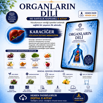 Organların Dili | 183 Sayfalık Kapsamlı Dijital E-Kitap (PDF) | Başvuru Rehberi