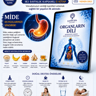 Organların Dili | 183 Sayfalık Kapsamlı Dijital E-Kitap (PDF) | Başvuru Rehberi