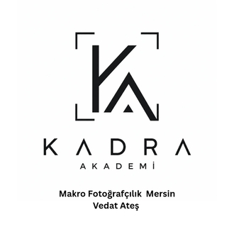 Mersin Yüzyüze Makro Fotoğraf Eğitimi - Eğitmen: Vedat Ateş