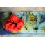 NAR BAHÇESİ doğal boyama scrunchie