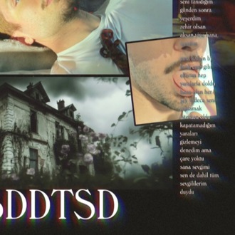 SSSDDTSD /// POSTER