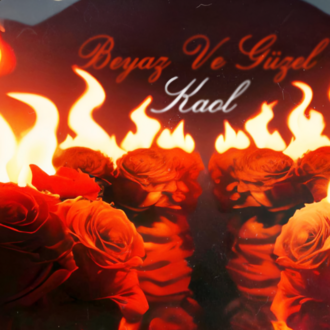 BEYAZ VE GÜZEL LIMITED EDITION /// POSTER 3