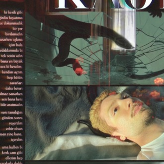 SSSDDTSD /// POSTER