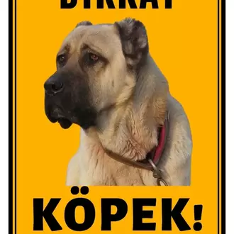 Dikkat Köpek Var Laminasyon Kaplamalı Kenarları Delikli(Kendi Köpeğin Resmiyle)