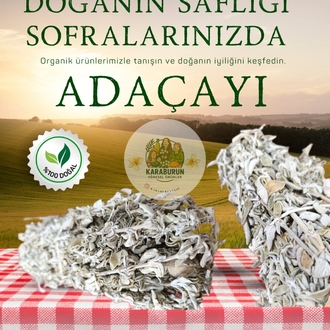 Karaburun Adaçayı ( 1 Bağ )
