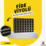 48 GÖZ FİDE VİYOLÜ ( 100 ADET )
