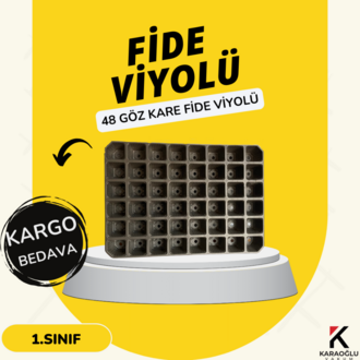 48 GÖZ KARE FİDE VİYOLÜ (30 ADET)