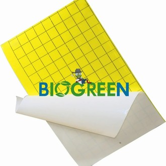 Biogreen Sarı Yapışkan Levha Tuzak,sera ve Bahçe Tuzağı 25 cm x 10 cm 50 Adet