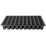 70 GÖZ FİDE VİYOLÜ (70GF100A) 100 'LÜ PAKET