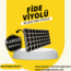 45 GÖZ FİDE VİYOLÜ 20’ Lİ PAKET