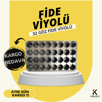 32 Göz Fide Viyolü 100 ADET