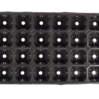 24 GÖZ KARE FİDE VİYOLÜ (24GF100A) 100 ADET