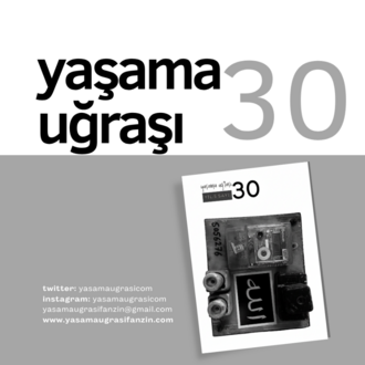 Yaşama Uğraşı 30