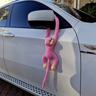 Pembe Maymun