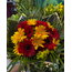 Renkli Gerbera Buketi