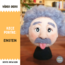 3D Keçe Portre/Yüz Yapımı - Einstein