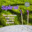 Spiral Keçe İğnesi (1 adet)