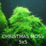 Christmas Moss 5x5