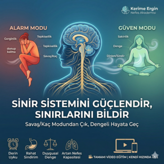 SİNİR SİSTEMİNİ GÜÇLENDİR SINIRLARINI BİLDİR (VİDEO ATÖLYE)
