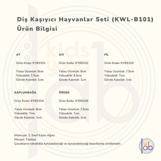 Diş Kaşıyıcı Hayvanlar Seti