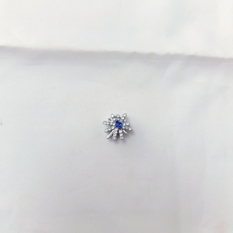 Kutup Yıldızı Charm
