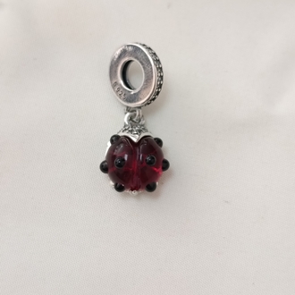 Uğur Böceği Charm