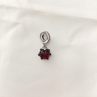 Uğur Böceği Charm