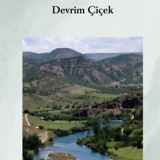 Asme Roz - Devrim Çiçek