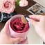 3D Floral Rose Allık 01