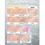 Sheglam Enigma Eyeshadow