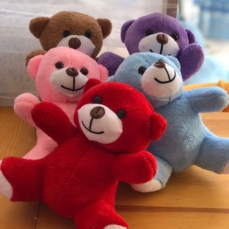 peluş ayıcık 