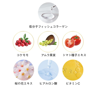 Shiseido The Collagen Powder 126 g