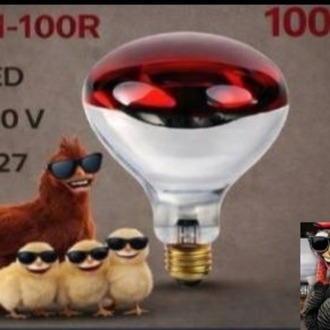 LDN Infrared 100W E27 Kızılötesi Isıtıcı Ampul