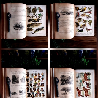 Mon Professeur: Grande Encyclopédie Autodidactique Moderne Illustrée | 1907 - 5 Cilt Tam Takım