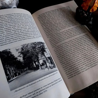Daniel Jonah Goldhagen — Hitlers willige Vollstrecker | Hitler'in Gönüllü Cellâtları | 1996