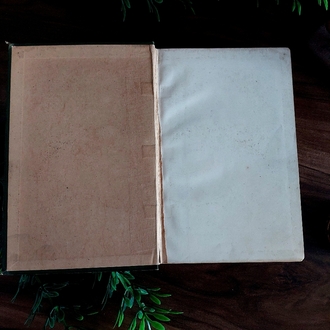 Ascott R. Hope — Young Travellers' Tales | 1895